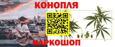 стафф Можга