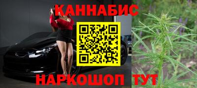 стафф Можга