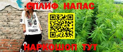 стафф Можга