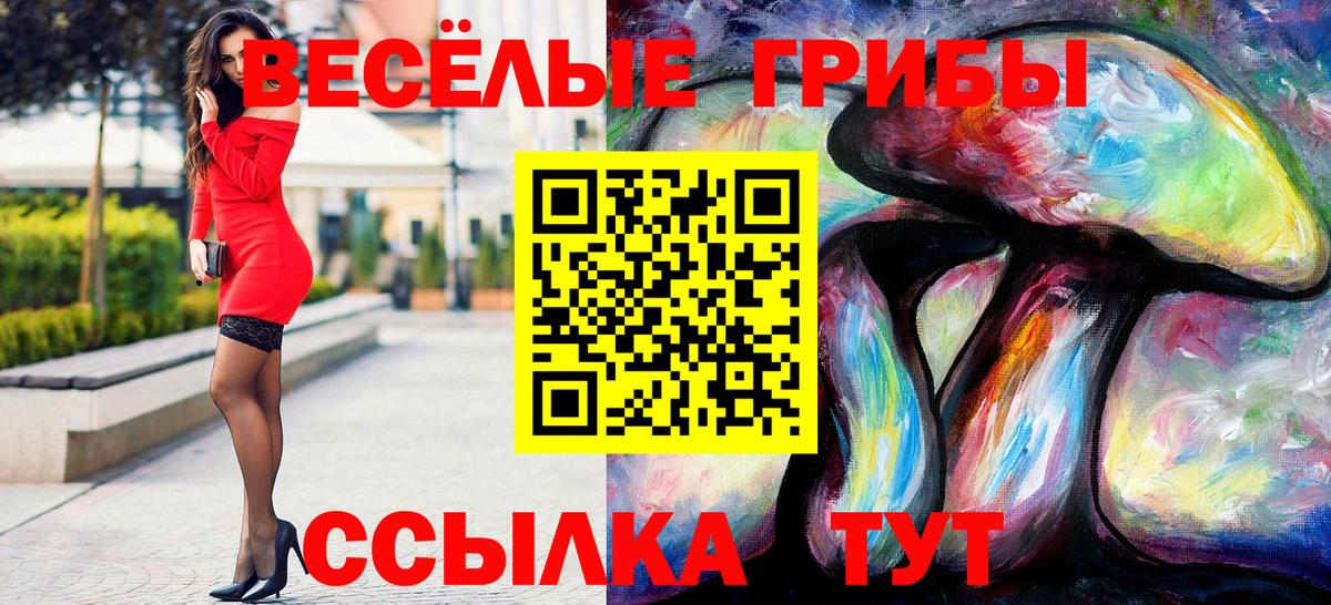 Псилоцибиновые грибы мухоморы  Вход с VPN  Ставрополь 
